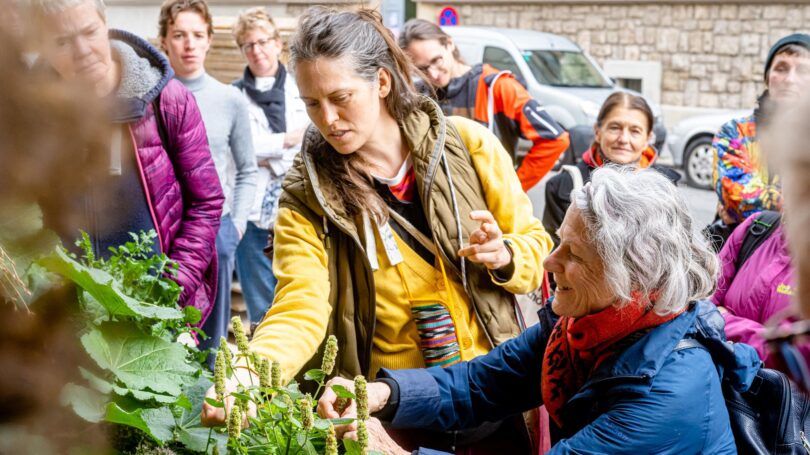 Eine Gruppe von Menschen begutachtet Pflanzen in einem Hochbeet
